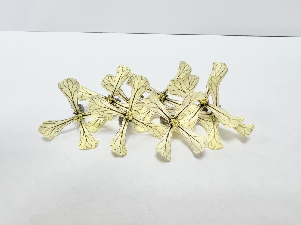 Les fleurs sont petites avec des centres sombres et avec un goût poivré un peu comme les feuilles. Ils varient en couleur du blanc au jaune... 