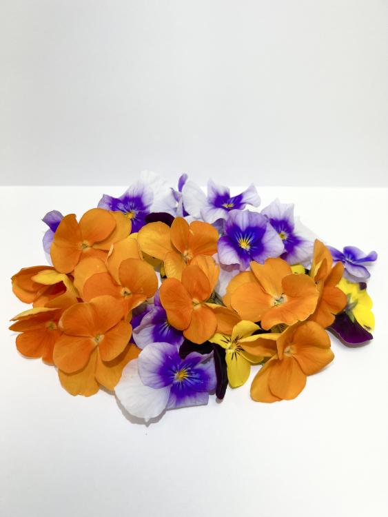 Fleurs aux multiples coloris qui s’utilisent en décoration, dans les salades ou autres plats.

 

 

Poids  : 

Variété... 