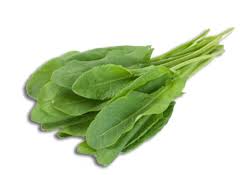 En cuisine : Les jeunes feuilles d'oseille étant moins acides, elles peuvent se consommer crues, en salade, ou accompagner des sandwiches.... 