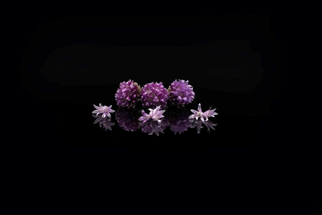 V&eacute;ritable concentr&eacute; de go&ucirc;t, la fleur de ciboulette est parfaite pour d&eacute;corer et agr&eacute;menter vos salades de printemps.

&nbsp;

Poids&nbsp;... 